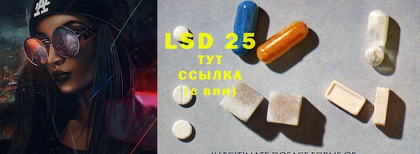 индика Михайловка