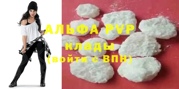 apvp Вяземский