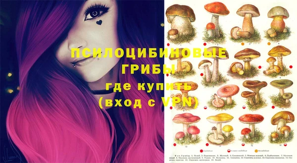 индика Михайловка