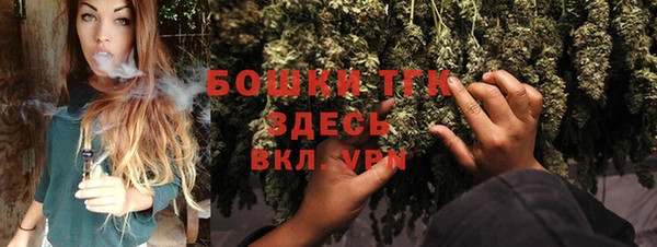 индика Михайловка