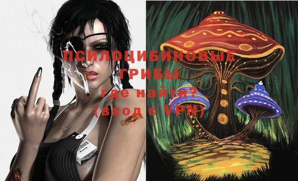 индика Михайловка